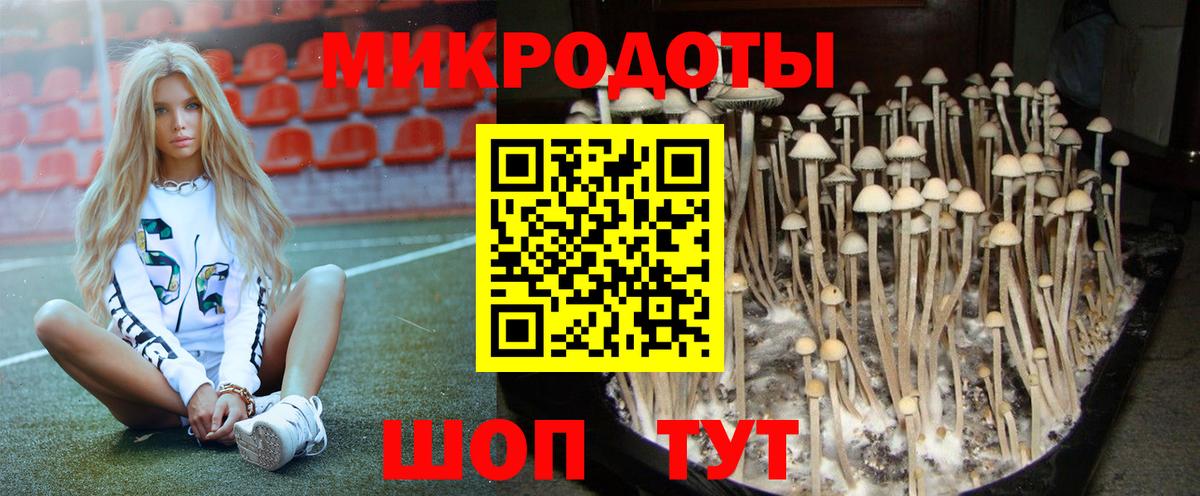 Псилоцибиновые грибы мицелий Арсеньев